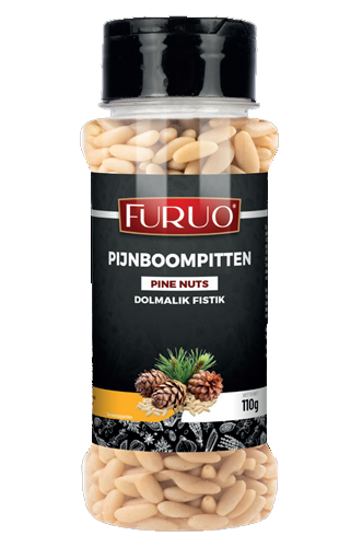 PİNE NUT